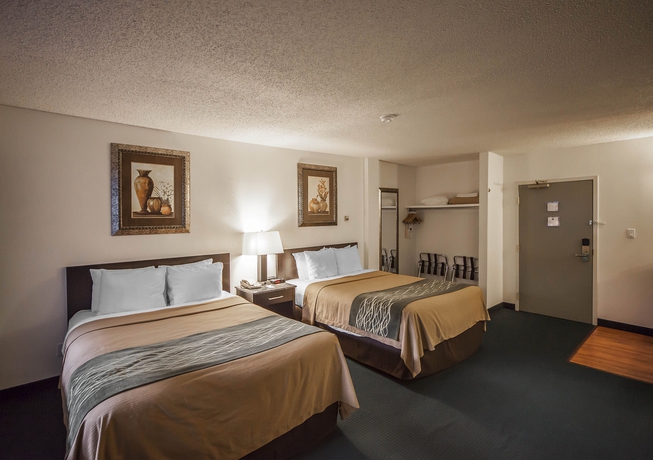 Imagen de la habitación del Hotel Comfort Inn and Suites Downtown Edmonton. Foto 5