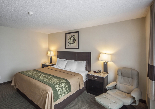 Imagen de la habitación del Hotel Comfort Inn and Suites Downtown Edmonton. Foto 8