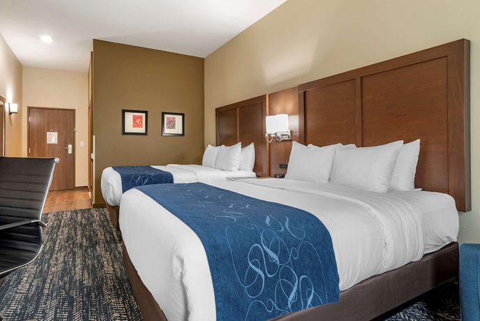 Imagen de la habitación del Hotel Comfort Inn and Suites Downtown near University. Foto 4