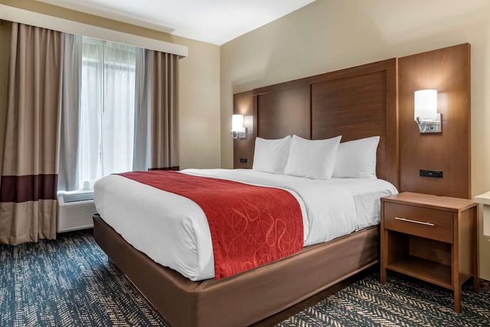 Imagen de la habitación del Hotel Comfort Inn and Suites Downtown near University. Foto 6