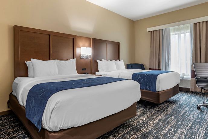 Imagen de la habitación del Hotel Comfort Inn and Suites Downtown near University. Foto 7