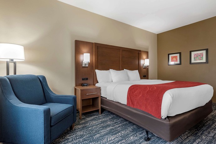 Imagen de la habitación del Hotel Comfort Inn and Suites Downtown near University. Foto 9