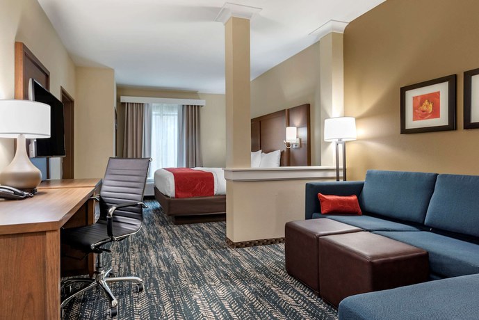 Imagen de la habitación del Hotel Comfort Inn and Suites Downtown near University. Foto 11