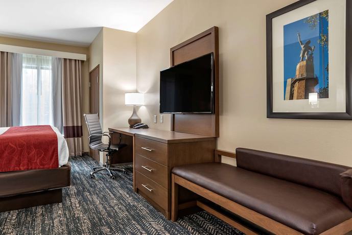 Imagen de la habitación del Hotel Comfort Inn and Suites Downtown near University. Foto 12