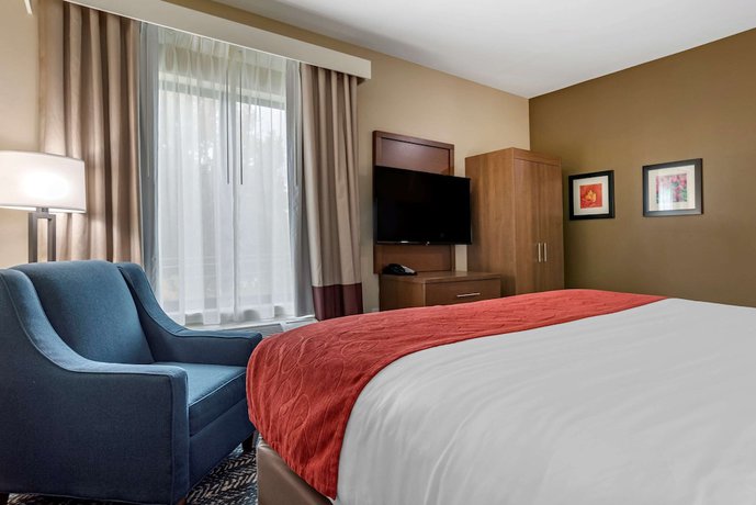Imagen de la habitación del Hotel Comfort Inn and Suites Downtown near University. Foto 14