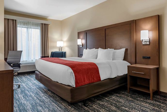 Imagen de la habitación del Hotel Comfort Inn and Suites Downtown near University. Foto 16