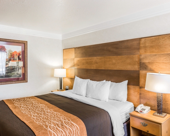 Imagen de la habitación del Hotel Comfort Inn and Suites Durango. Foto 7