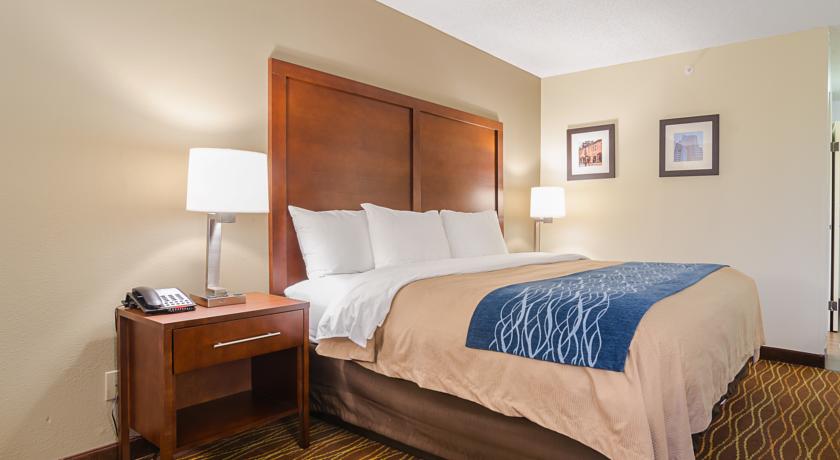 Imagen de la habitación del Hotel Comfort Inn and Suites Durham Near Duke University. Foto 8