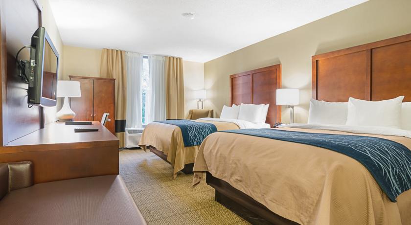 Imagen de la habitación del Hotel Comfort Inn and Suites Durham Near Duke University. Foto 10