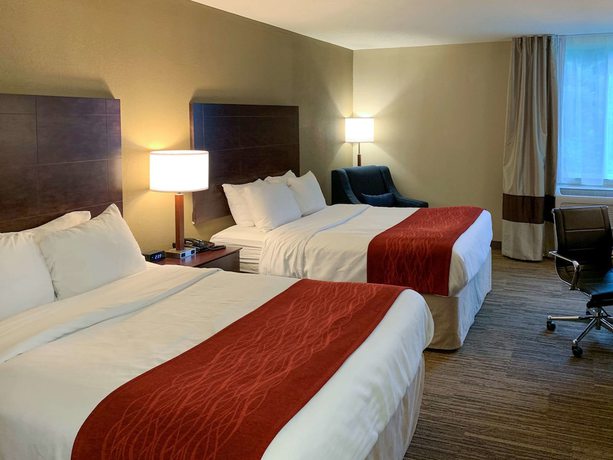 Imagen de la habitación del Hotel Comfort Inn and Suites East Hartford - Hartford. Foto 14
