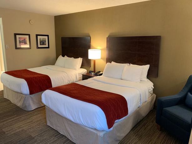 Imagen de la habitación del Hotel Comfort Inn and Suites East Hartford - Hartford. Foto 16