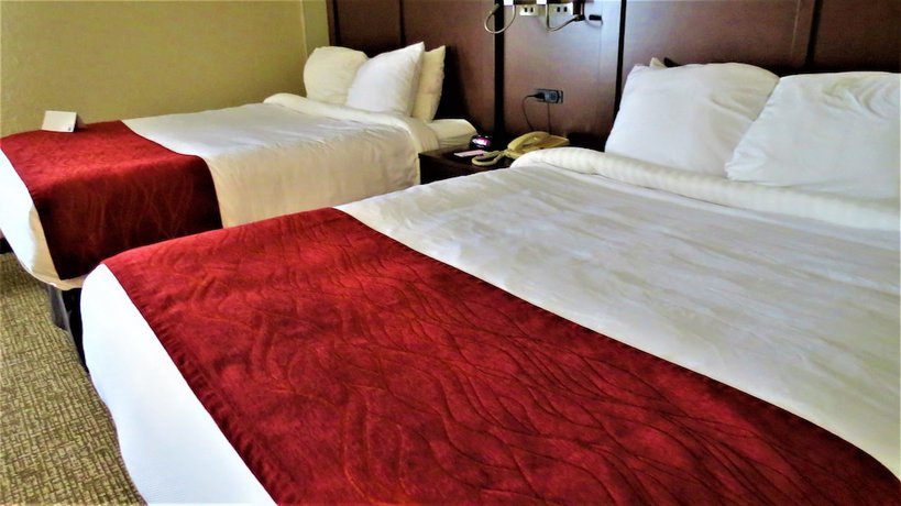 Imagen de la habitación del Hotel Comfort Inn and Suites Fairborn near Wright Patterson AFB. Foto 2