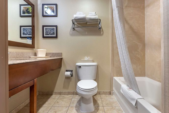 Imagen de la habitación del Hotel Comfort Inn and Suites Farmington - Victor. Foto 11