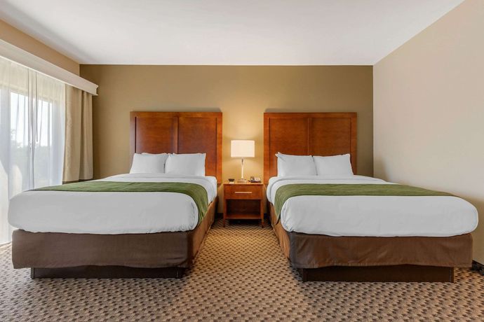 Imagen de la habitación del Hotel Comfort Inn and Suites, Florence. Foto 5