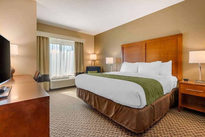 Imagen de la habitación del Hotel Comfort Inn and Suites, Florence. Foto 6