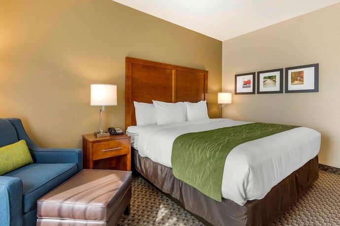Imagen de la habitación del Hotel Comfort Inn and Suites, Florence. Foto 8