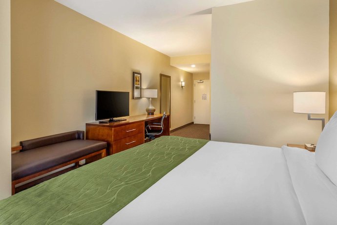 Imagen de la habitación del Hotel Comfort Inn and Suites, Florence. Foto 9
