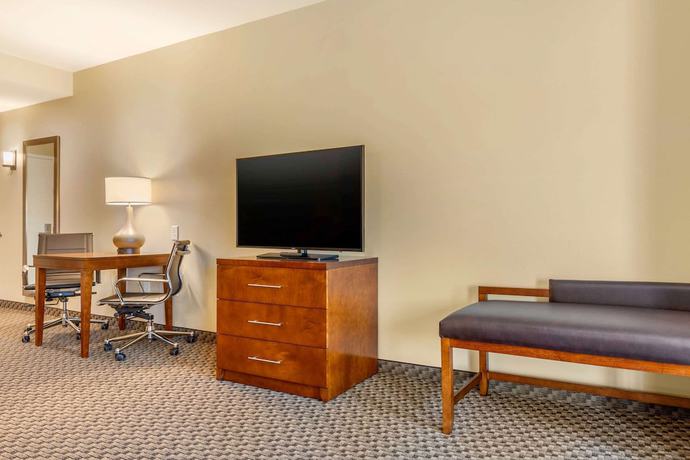 Imagen de la habitación del Hotel Comfort Inn and Suites, Florence. Foto 10