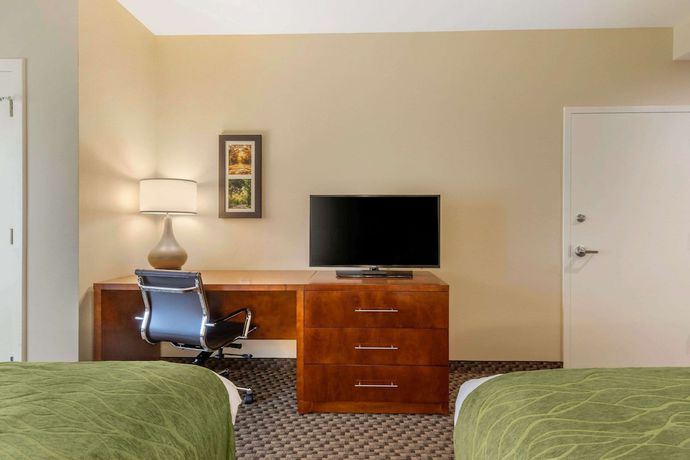 Imagen de la habitación del Hotel Comfort Inn and Suites, Florence. Foto 12