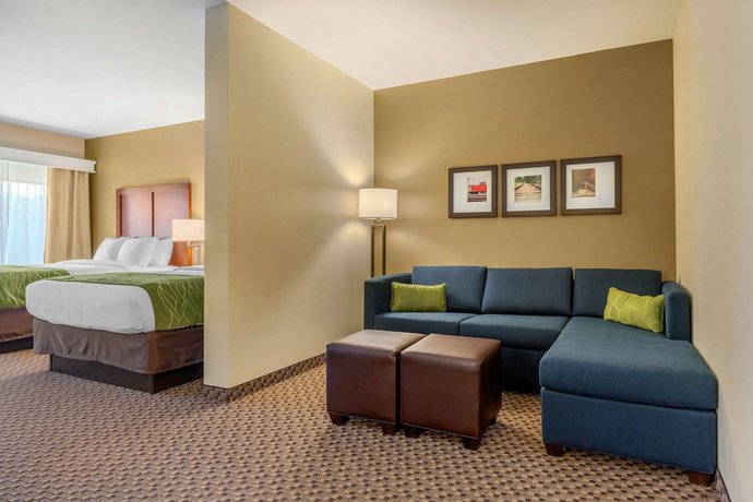 Imagen de la habitación del Hotel Comfort Inn and Suites, Florence. Foto 13