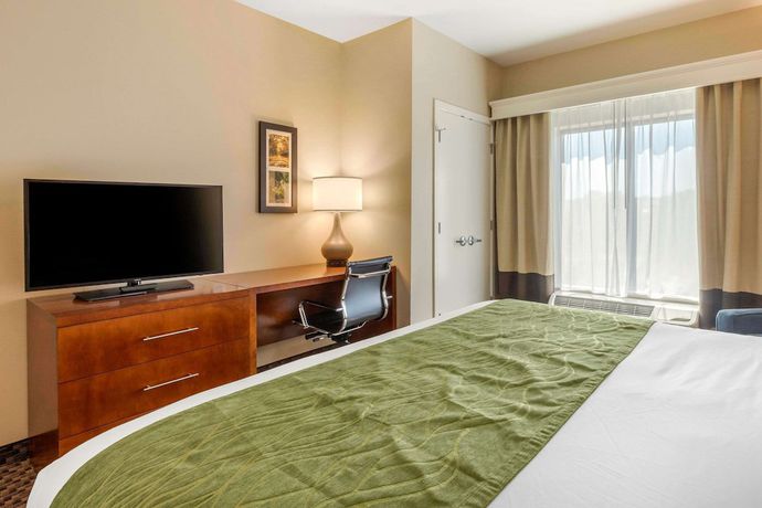 Imagen de la habitación del Hotel Comfort Inn and Suites, Florence. Foto 14