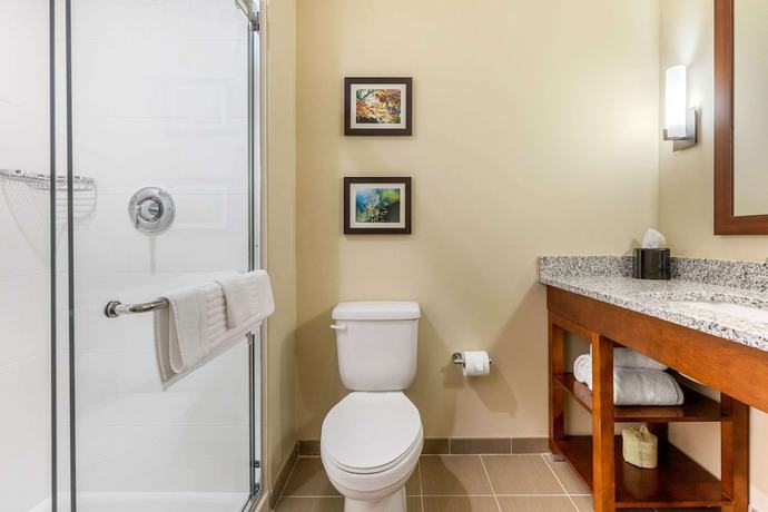 Imagen de la habitación del Hotel Comfort Inn and Suites, Florence. Foto 15
