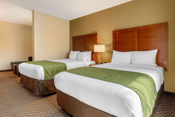 Imagen de la habitación del Hotel Comfort Inn and Suites, Florence. Foto 16