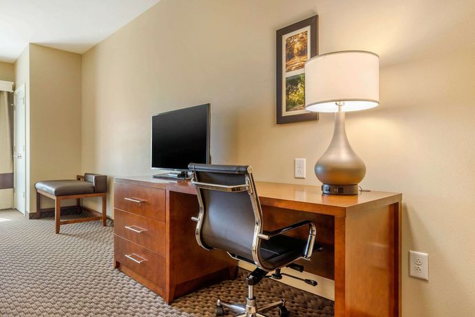 Imagen de la habitación del Hotel Comfort Inn and Suites, Florence. Foto 17