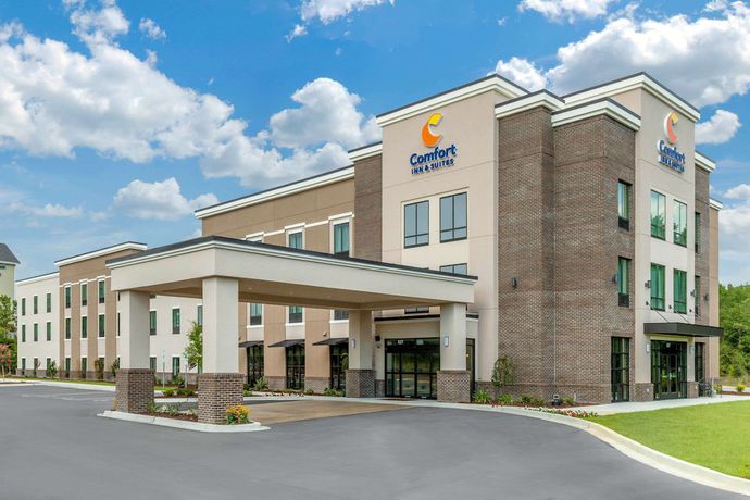 Imagen general del Hotel Comfort Inn and Suites, Florence. Foto 1