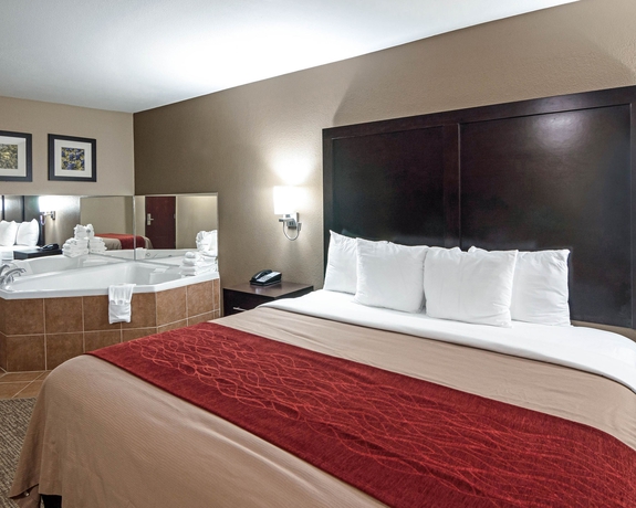 Imagen de la habitación del Hotel Comfort Inn and Suites Fm1960-champions. Foto 6