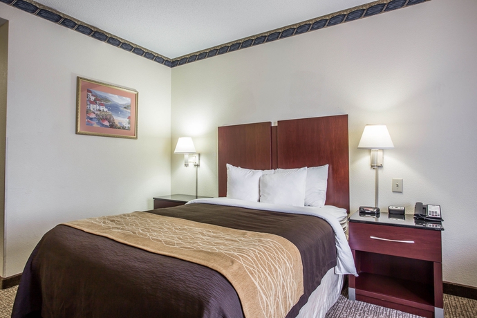 Imagen de la habitación del Hotel Comfort Inn and Suites Ft. Jackson Maingate. Foto 6