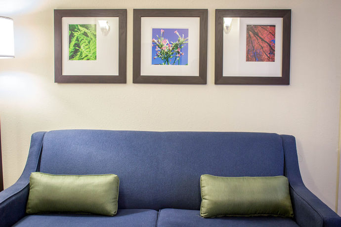 Imagen de la habitación del Hotel Comfort Inn and Suites Fuquay Varina. Foto 7