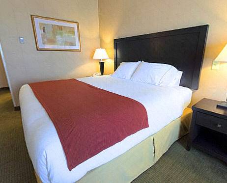 Imagen de la habitación del Hotel Comfort Inn and Suites, Goodland. Foto 1