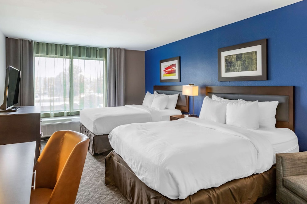 Imagen de la habitación del Hotel Comfort Inn and Suites Grand Blanc/Flint. Foto 4