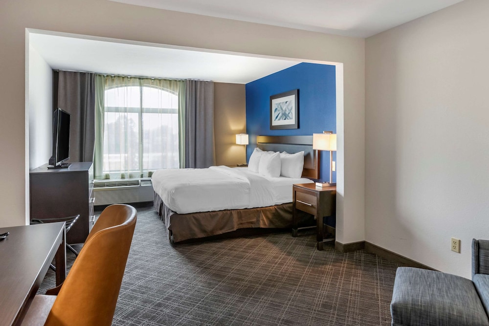 Imagen de la habitación del Hotel Comfort Inn and Suites Grand Blanc/Flint. Foto 6