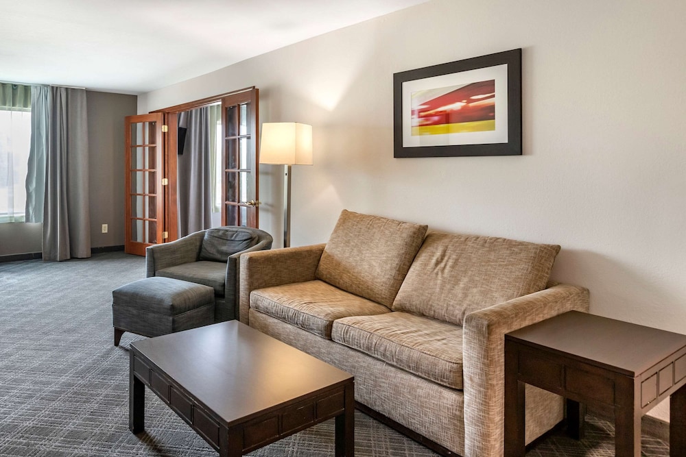 Imagen de la habitación del Hotel Comfort Inn and Suites Grand Blanc/Flint. Foto 10