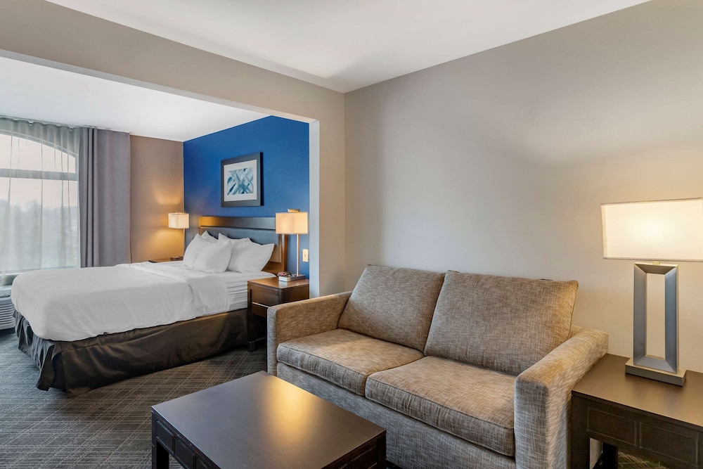 Imagen de la habitación del Hotel Comfort Inn and Suites Grand Blanc/Flint. Foto 12