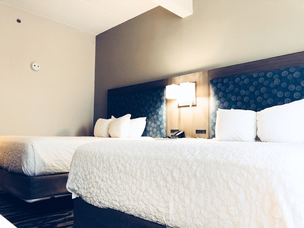 Imagen de la habitación del Hotel Comfort Inn and Suites Greenville Near Convention Center. Foto 2