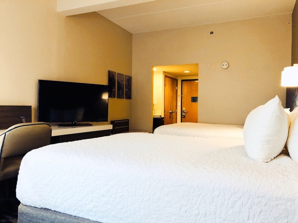 Imagen de la habitación del Hotel Comfort Inn and Suites Greenville Near Convention Center. Foto 3