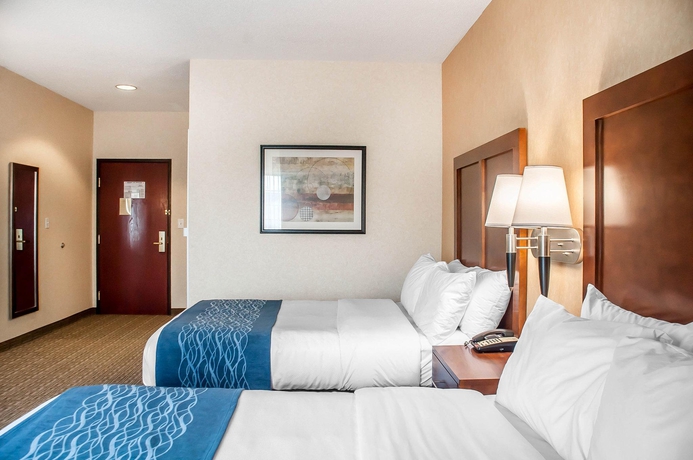 Imagen de la habitación del Hotel Comfort Inn and Suites, Hamburg. Foto 11