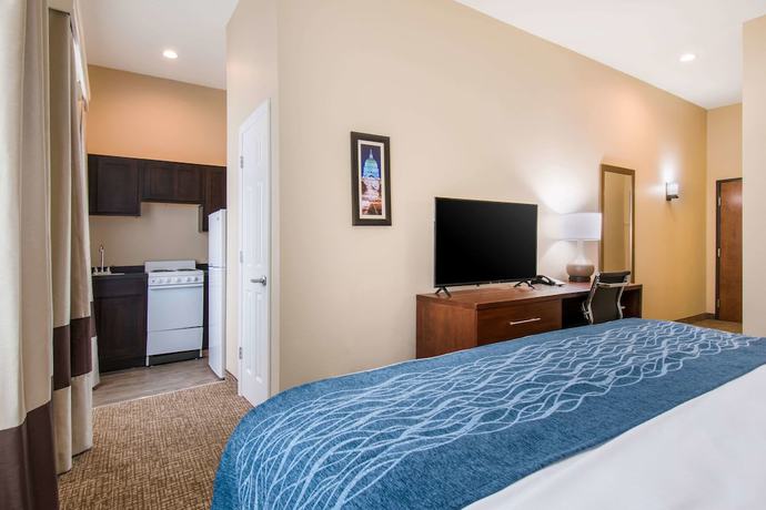 Imagen de la habitación del Hotel Comfort Inn and Suites Harrisburg - Hershey West. Foto 9
