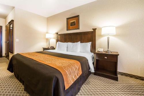 Imagen de la habitación del Hotel Comfort Inn and Suites Henderson - Las Vegas. Foto 8