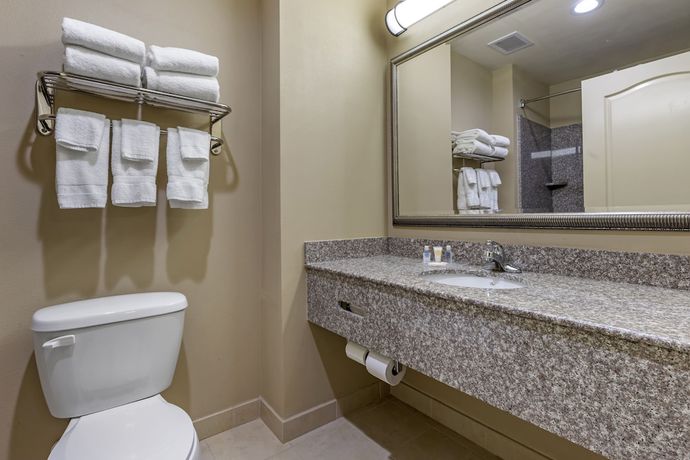 Imagen de la habitación del Hotel Comfort Inn and Suites High Point - Archdale. Foto 6
