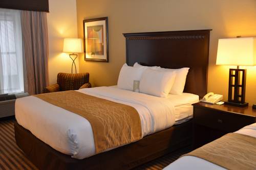 Imagen de la habitación del Hotel Comfort Inn and Suites Hot Springs Midtown. Foto 10