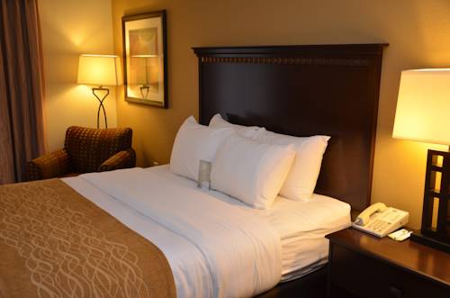 Imagen de la habitación del Hotel Comfort Inn and Suites Hot Springs Midtown. Foto 11