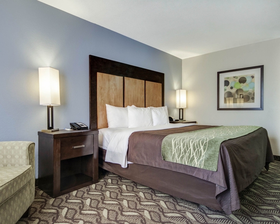 Imagen de la habitación del Hotel Comfort Inn and Suites I-10 Airport. Foto 8