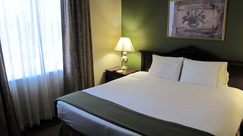 Imagen de la habitación del Hotel Comfort Inn and Suites Iah Bush Airport – East. Foto 5