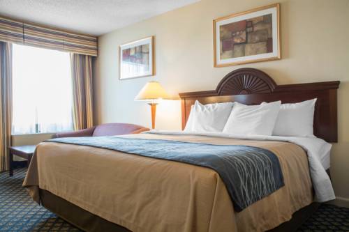 Imagen de la habitación del Hotel Comfort Inn and Suites Ingersoll. Foto 4