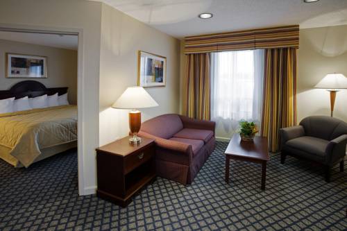 Imagen general del Hotel Comfort Inn and Suites Ingersoll. Foto 1