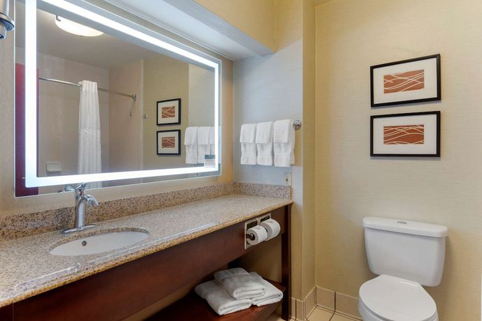 Imagen de la habitación del Hotel Comfort Inn and Suites Jackson. Foto 5
